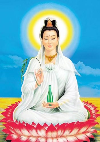 quan-the-am-bo-tat-tubi-vn-1